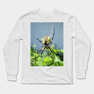 Orb Weaver Spider Long Sleeve T-Shirt